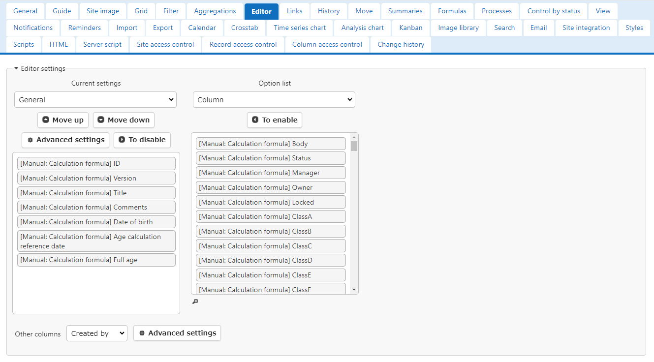 Editor settings with "Date of Birth", "Age Calculation Reference Date" and "Full Age" columns