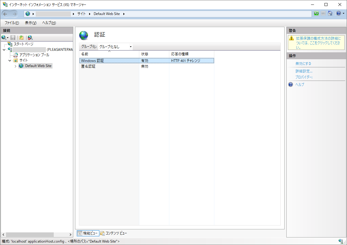 The IIS authentication list with only Windows Authentication enabled