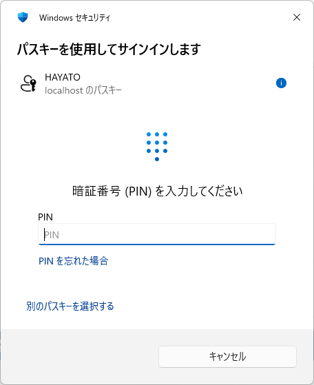 The Windows Hello identity verification screen using a PIN at login