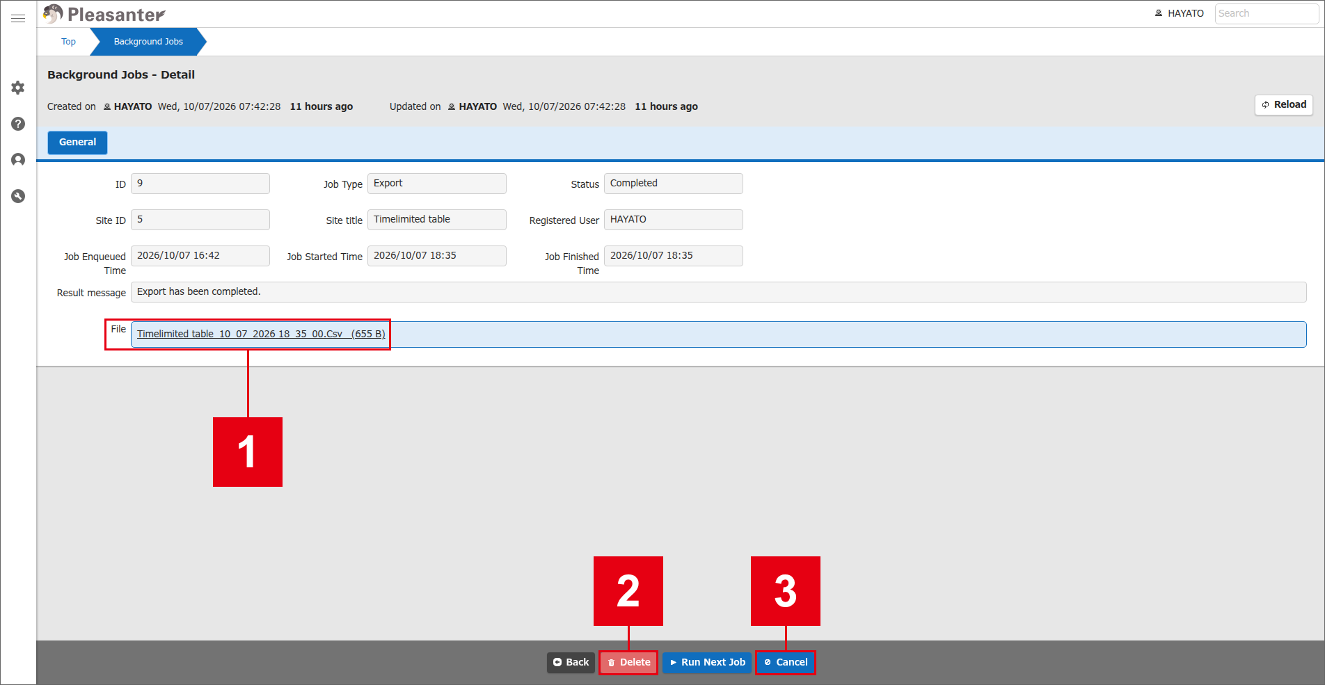 Details screen of a background job