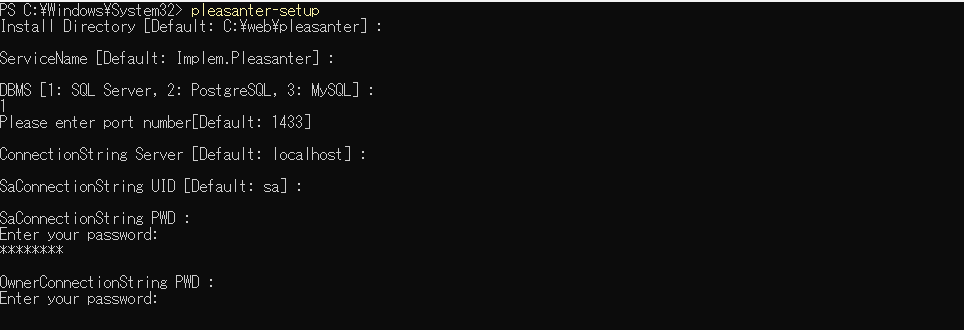 The installer prompt for the PWD of OwnerConnectionString in the SQL Server procedure, shown masked