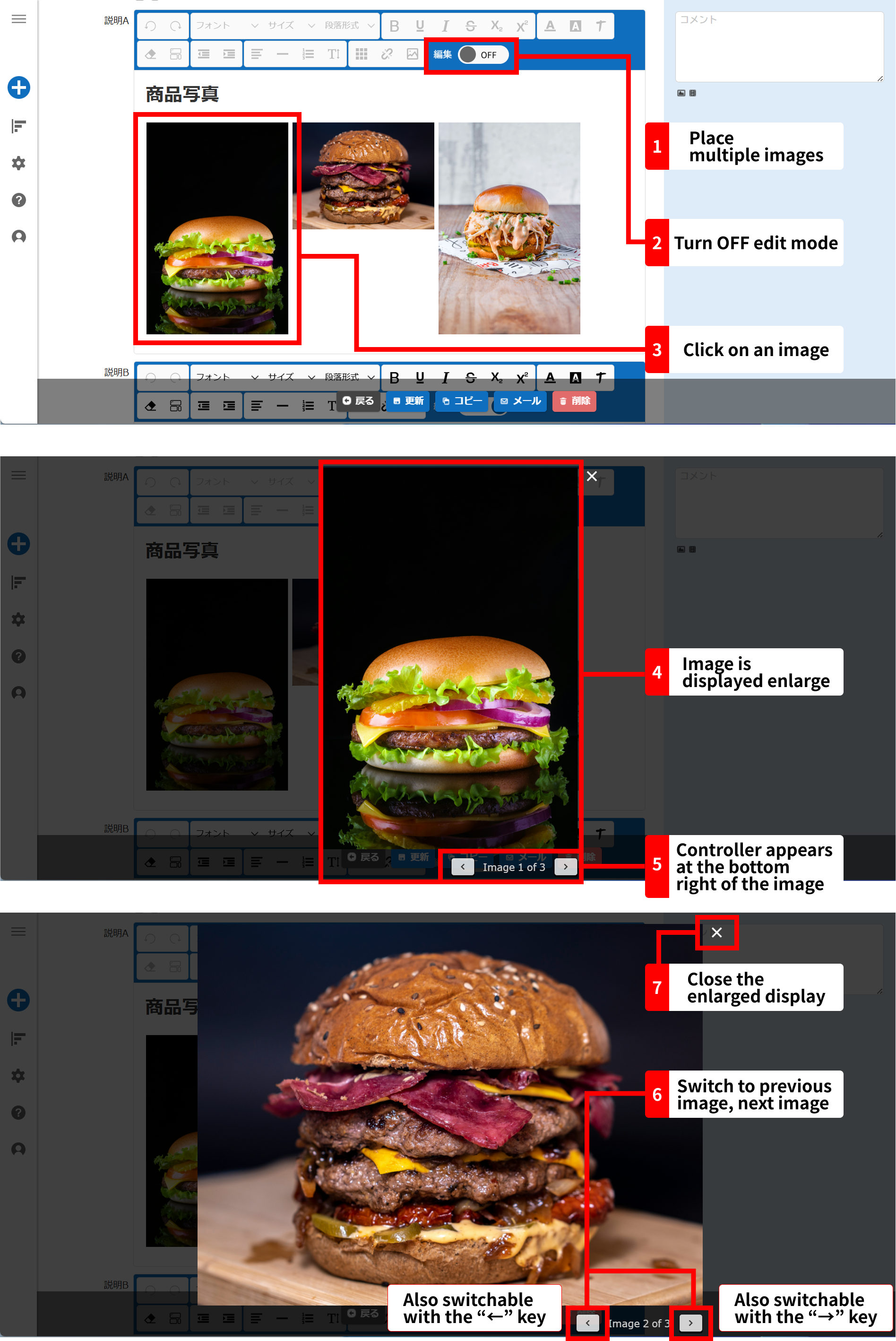 Controls for viewing the previous and next images, shown at the bottom right of a popped-up image