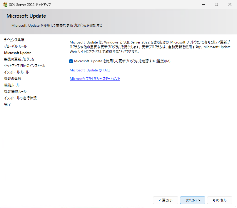 更新プログラムの確認を設定する画面。Microsoft Update を使うかどうかの選択がある