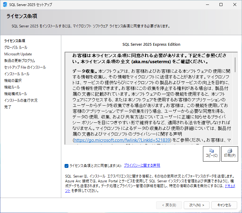ライセンス条項の画面。「ライセンス条項と次に同意します」のチェックボックスがある