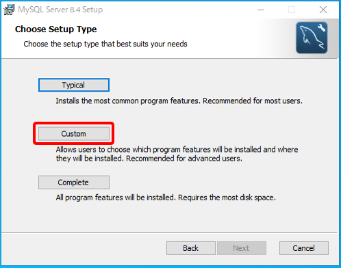 セットアップの種類を選ぶ画面。「Custom」ボタンがある