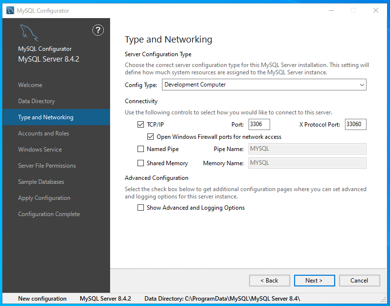 Config Type、Connectivity、Advanced Configration を指定する画面