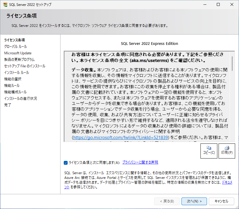 ライセンス条項の画面。「ライセンス条項と次に同意します」のチェックボックスがある