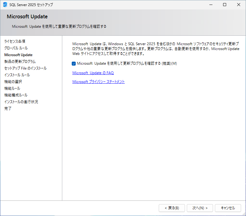 更新プログラムの確認を設定する画面。Microsoft Update を使うかどうかの選択がある